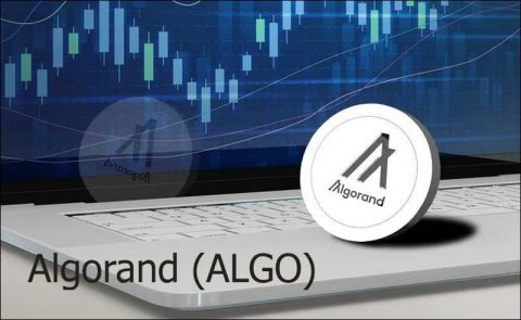 Was ist Algorand (ALGO)? Wie funktioniert Algorand?