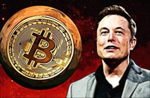 Bitcoin steigt dieses Mal dank Elon Musk