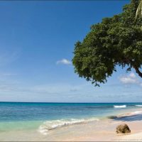 Mini Guide to Barbados