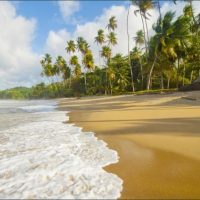 Introducing Best Caribbean Beaches