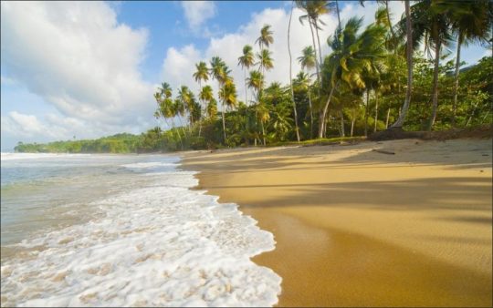 Introducing Best Caribbean Beaches