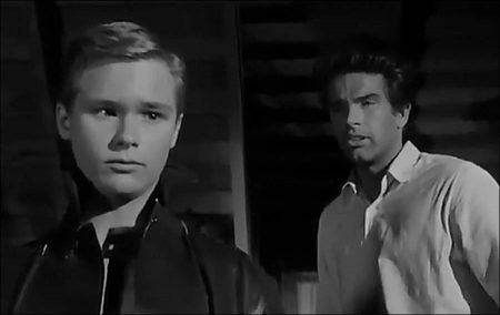 All Fall Down (1962)