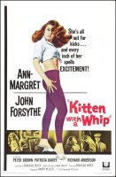 Kitten with a Whip Movie Poster (1964)