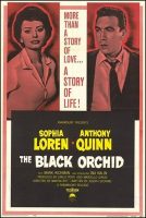 The Black Orchid Movie Poster (1958)