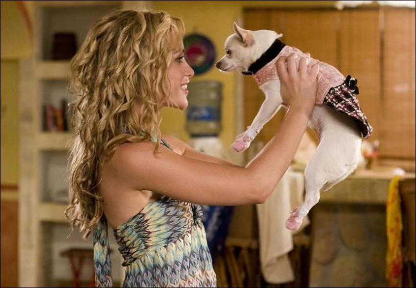 Beverly Hills Chihuahua - Piper Perabo