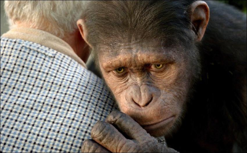 Narrow win for 'Apes' at the box office