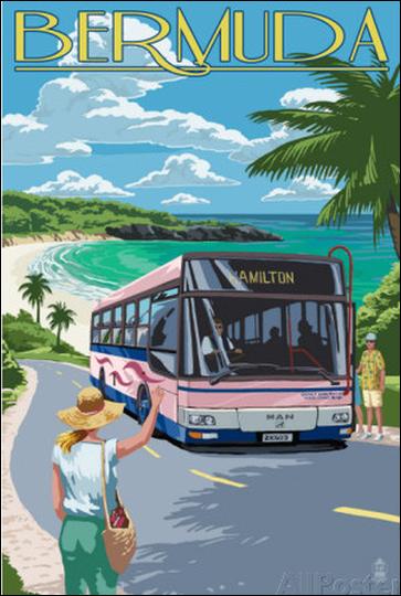 Catch the Pink Bus on Coastline Bermuda