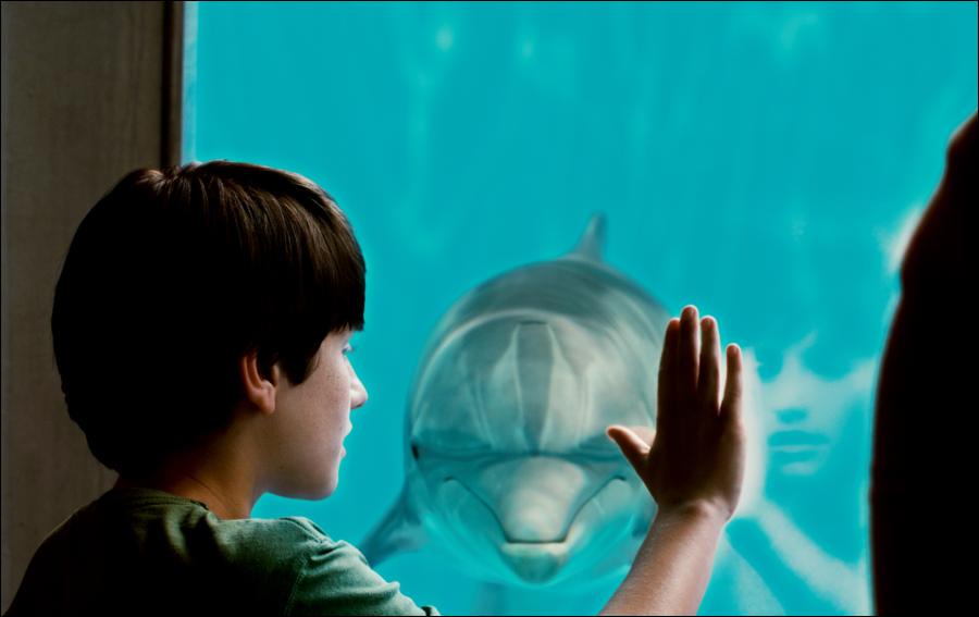 Weekend Box-Office: Dolphin Tale Leaps Into Lead