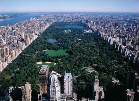 Aerial View of Central Park in New York City
