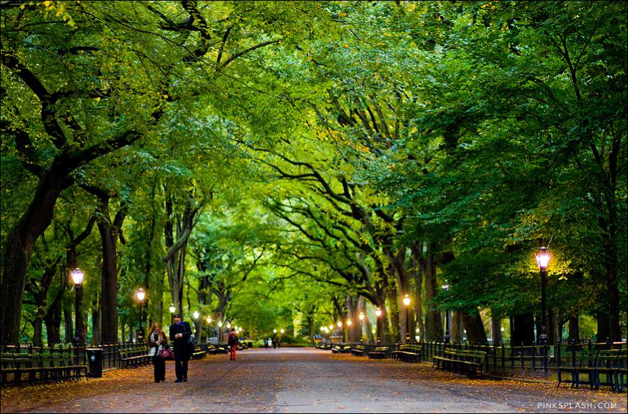 All About Central Park in New York City