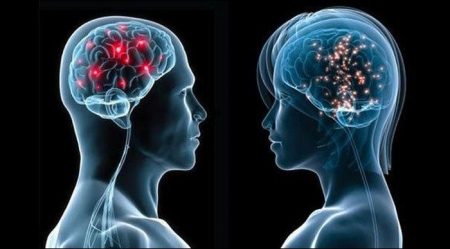 Basic differences of female and male brain