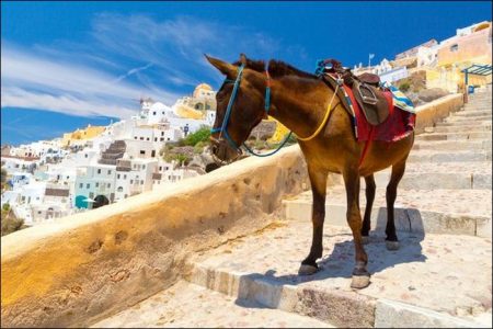 Santorini: A blue-white Greek fairytale