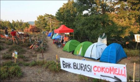 Thousands flock to Turkey’s Kaz Mountains to protest gold mine