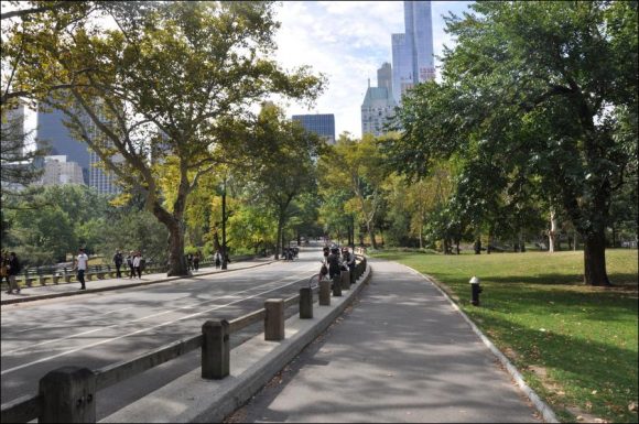 Central Park and Brooklyn: Far beyond all expectations