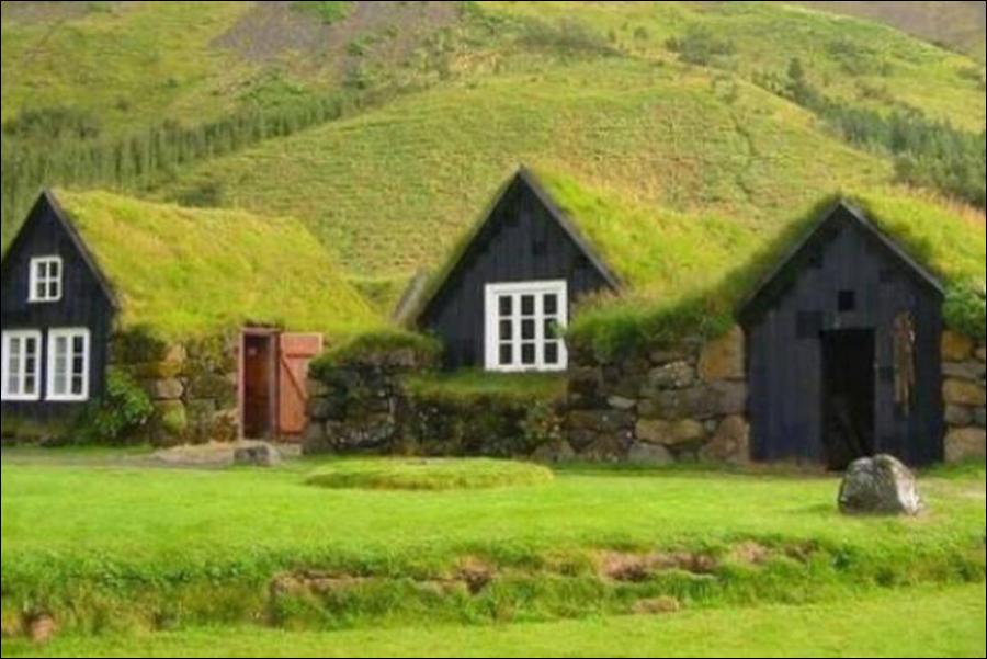 Interesting lawn houses in Iceland