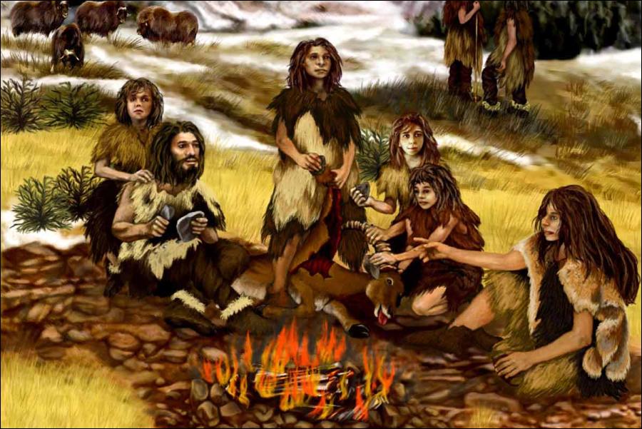 How did the control of fire lead to human evolution?