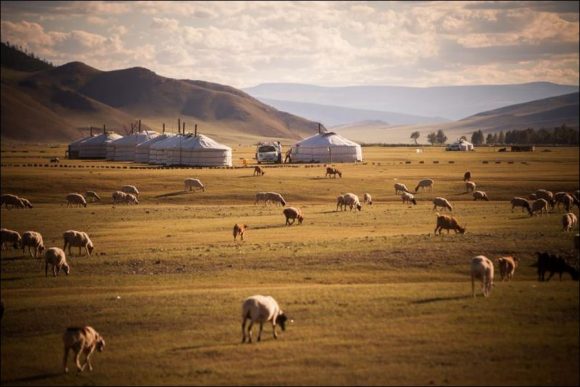 For those who want to have a different holiday experience: Mongolia