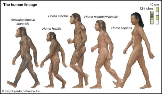 Human evolution process that started in Africa