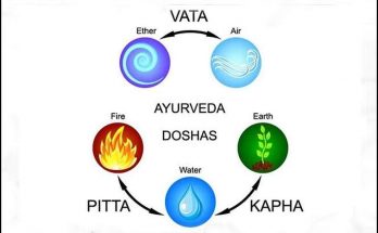 Ayurveda Literature: Dosha, Vata, Pitta and Kapha