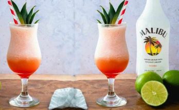 Malibu: Legendary drink full of tropical flavors