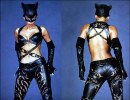 Catwoman Picture Gallery 43
