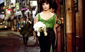 Irma la Douce (1963)