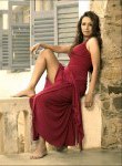 Kashmira Shah Picture 07