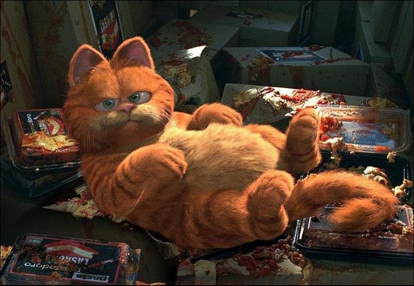 Garfield, The Movie