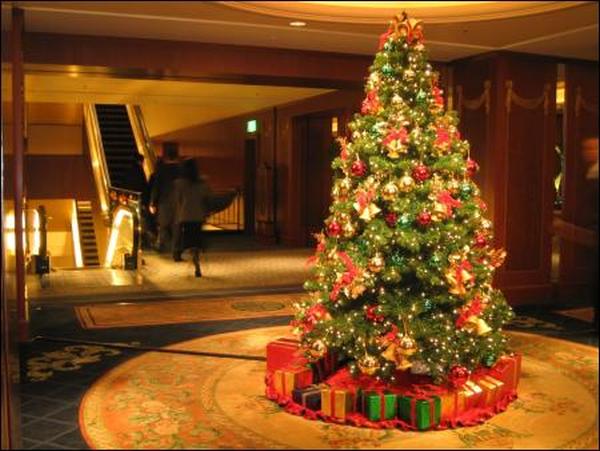 Where did Christmas tree tradition begin?