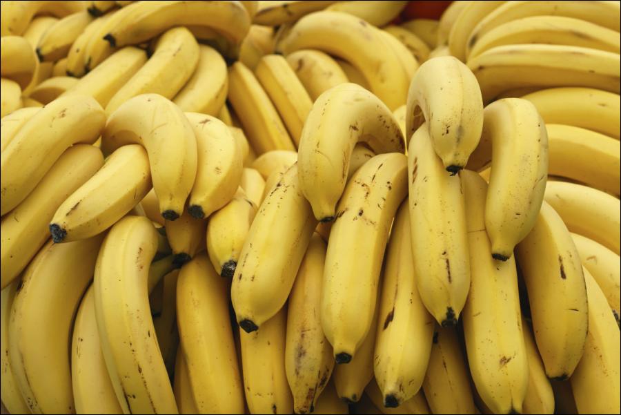 The international importance of the banana trade